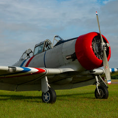 Collection image for: Aviation