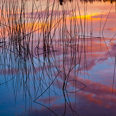 Collection image for: Lakes and Rivers