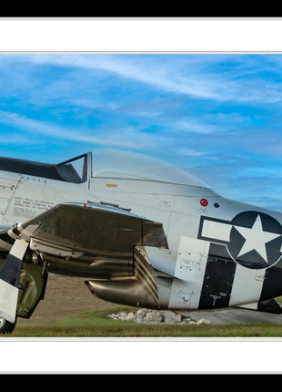 Stallion of The Skies