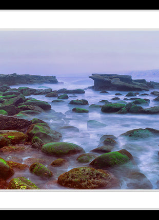 The Mist
