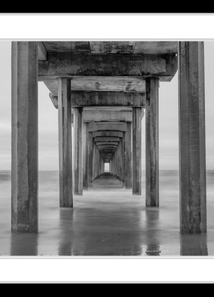 Pacific Tides Black and White