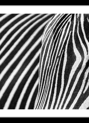Stripes