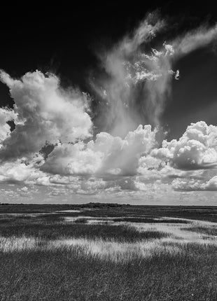 Big Cypress Preserve