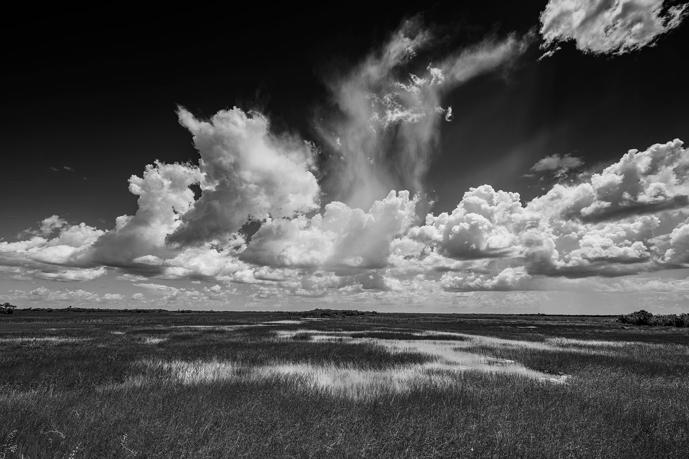 Big Cypress Preserve