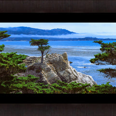 Collection image for: Trees