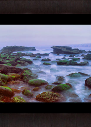 The Mist