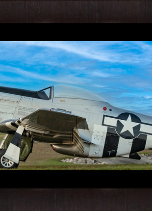 Stallion of The Skies