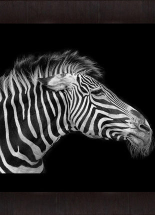 The Old Zebra