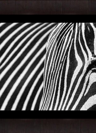 Stripes