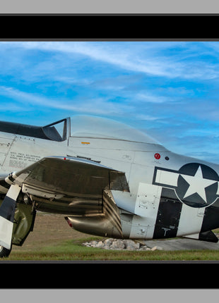 Stallion of The Skies