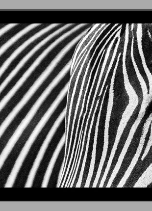 Stripes