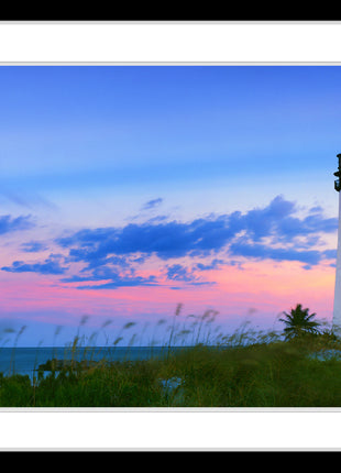 The Cape