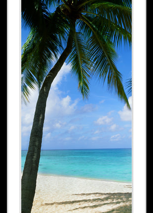 Palm Cove