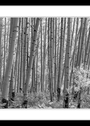 Mcclure Pass