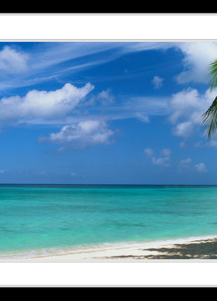 This Side of Paradise