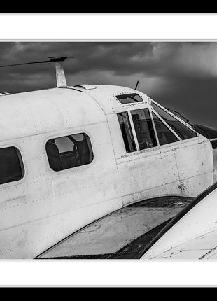 Timeless Flight
