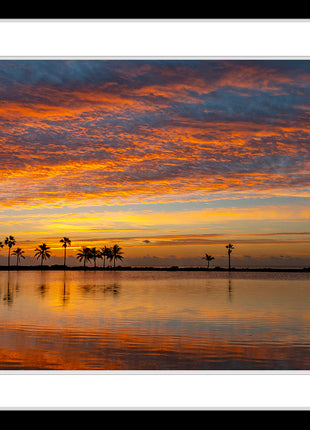 Tropical Glory