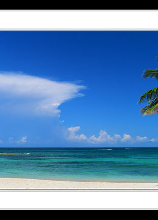 Atlantic Cove