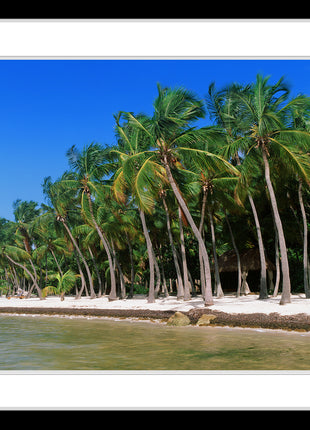 Stranded