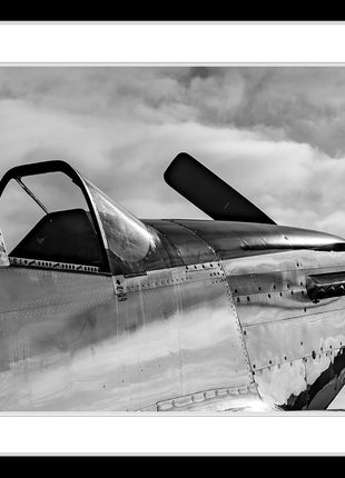 Warbird