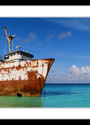 Oceanic Adventure