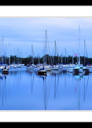 Safe Harbor