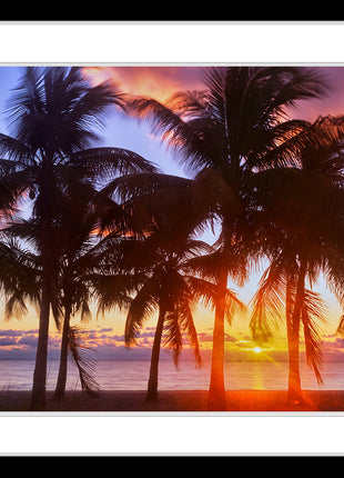Tropical Sunrise