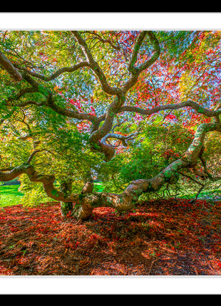 Essence of Fall