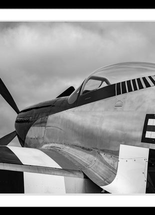 Enforcer Standard Black and White