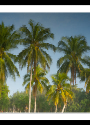 Tropic Flare