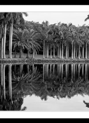 Royal Splendor