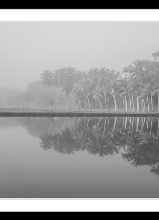 Royal Lake Reflections