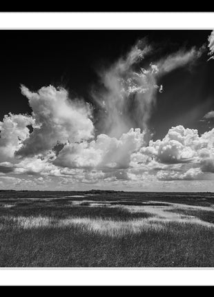 Big Cypress Preserve