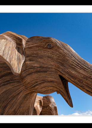 Elephants at The Beach