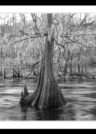 Santa Fe River