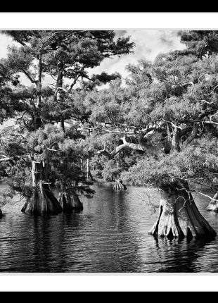 Blue Cypress Lake