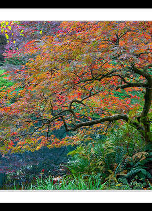 Garden Mosiac