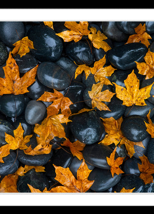 Echoes of Fall
