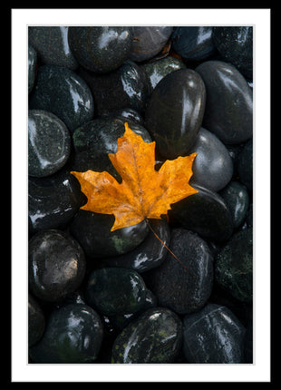 Simplicity