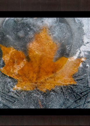 Frozen