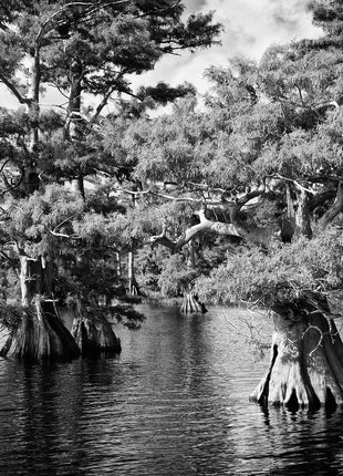 Blue Cypress Lake