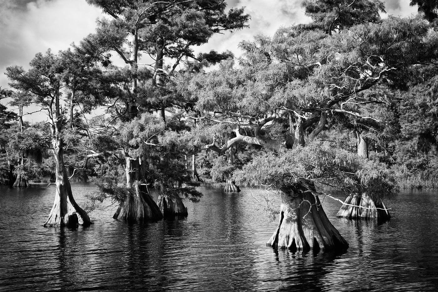 Blue Cypress Lake