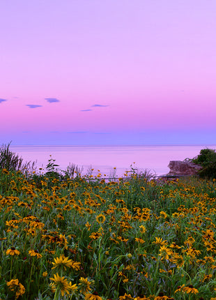 Cape Elizabeth