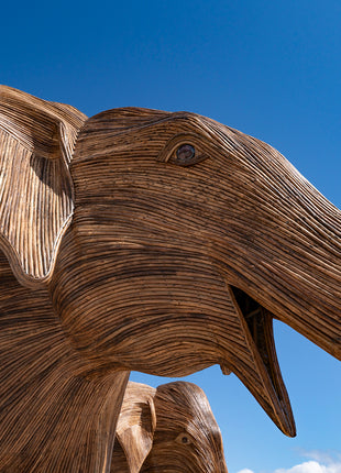 Elephants at The Beach