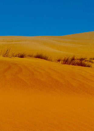 Dune Dessert
