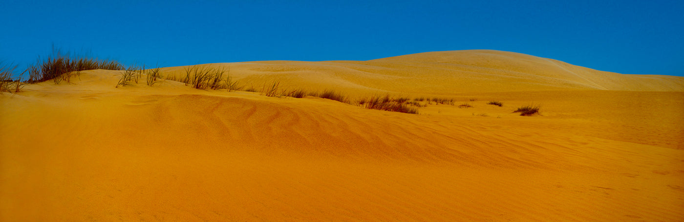 Dune Dessert