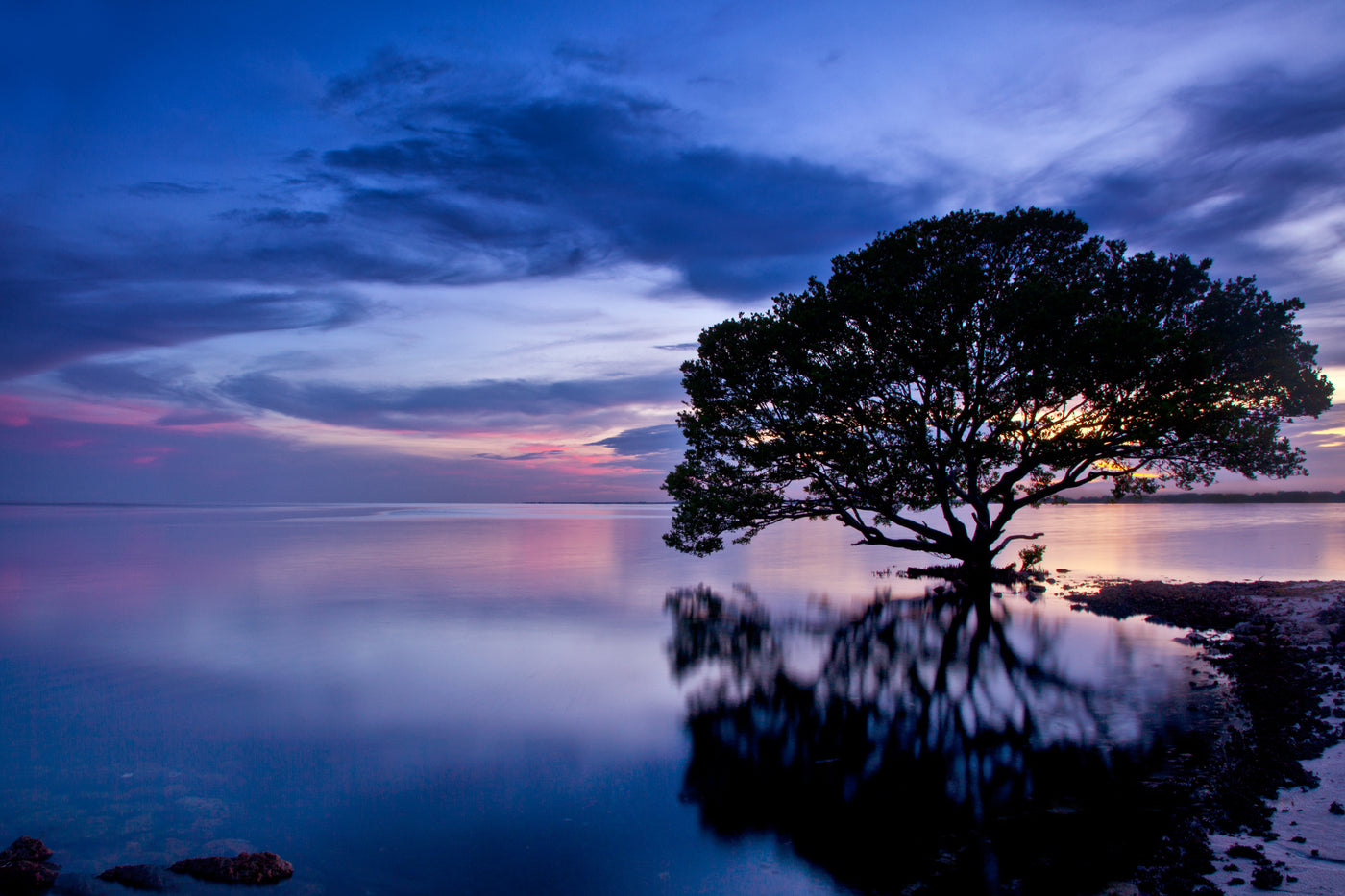 Dreamscape