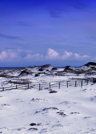 Dunes