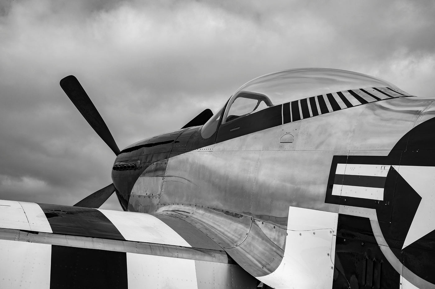 Enforcer Standard Black and White