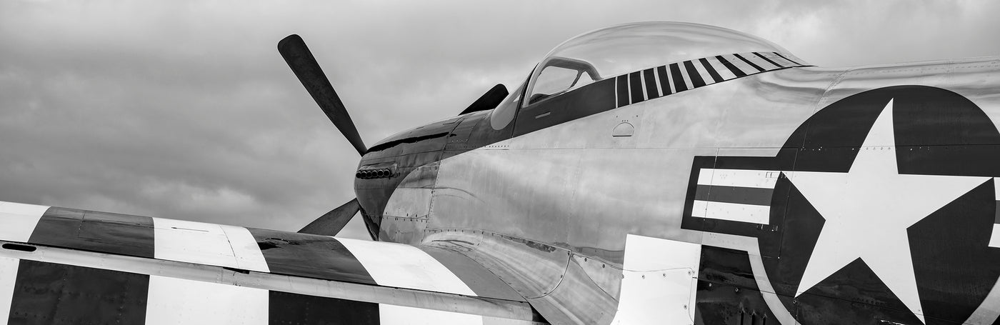 Enforcer Black and White